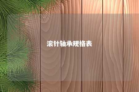 滚针轴承规格表 
